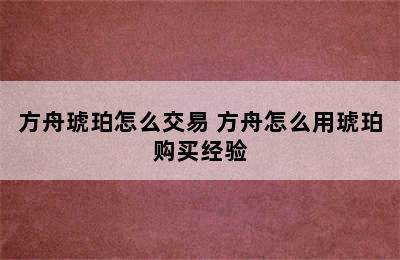 方舟琥珀怎么交易 方舟怎么用琥珀购买经验